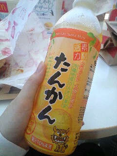 ���ݕ�